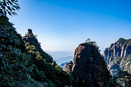 三座仑购物平台F3381681-338168